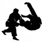 Hapkido em Ipanema